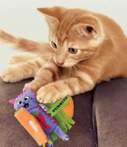 Kong Gato Juguete Pull A Part Cheezy | Juguete Gato Catnip